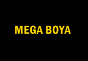 Mega Boya