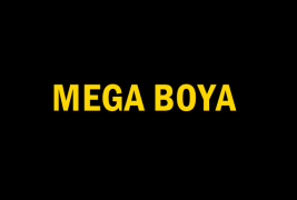 Mega Boya